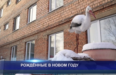 РОЖДЁННЕ В НОВОМ ГОДУ
